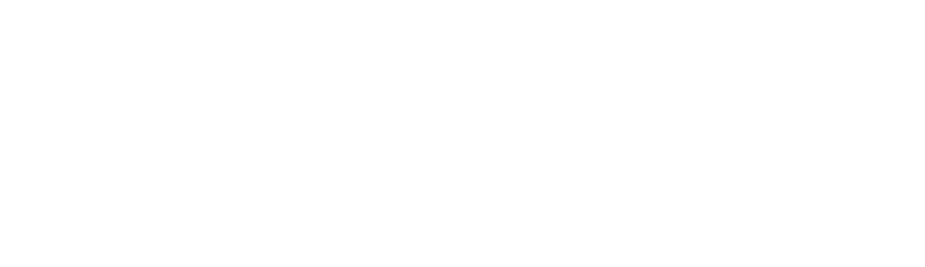 Pioneer Supermarkets Logo