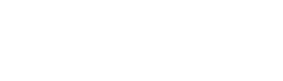 Pioneer Supermarkets Logo